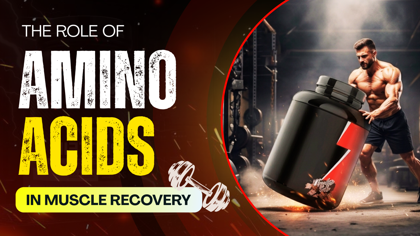 The Role of Amino Acids in Muscle Recovery